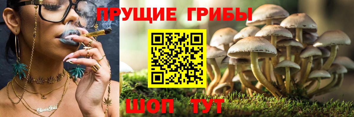Марихуана Сальск