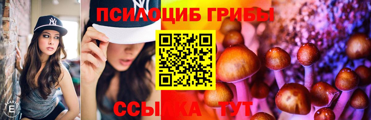 Сальск  Псилоцибиновые грибы мухоморы  Вход с VPN 