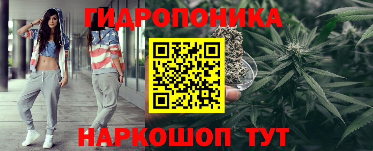 Каннабис марихуана Сальск